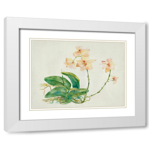 Pink Orchid White Modern Wood Framed Art Print with Double Matting by Woods, Maya