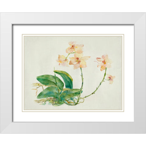 Pink Orchid White Modern Wood Framed Art Print with Double Matting by Woods, Maya
