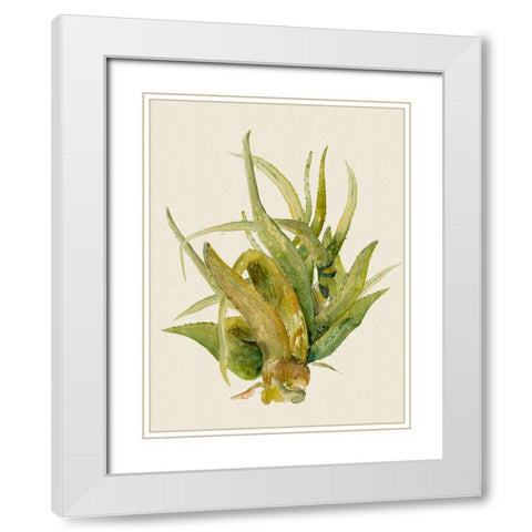 Aloe Vera I White Modern Wood Framed Art Print with Double Matting by Woods, Maya