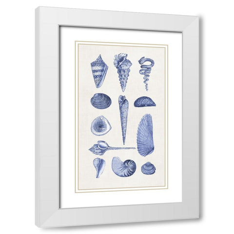 Blue Shells I White Modern Wood Framed Art Print with Double Matting by Haase, Andrea