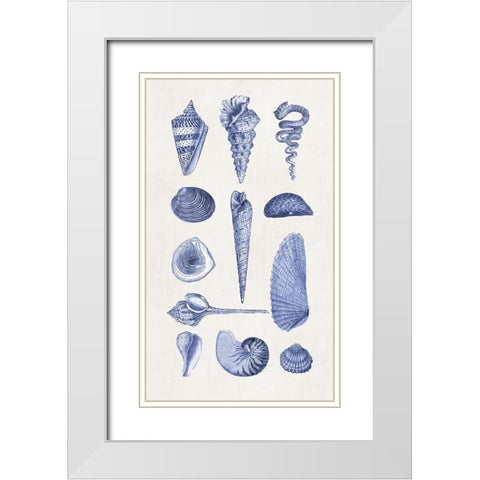 Blue Shells I White Modern Wood Framed Art Print with Double Matting by Haase, Andrea