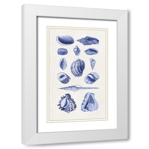 Blue Shells II White Modern Wood Framed Art Print with Double Matting by Haase, Andrea