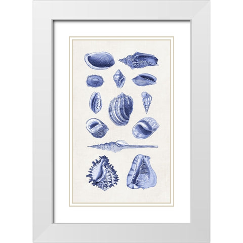 Blue Shells II White Modern Wood Framed Art Print with Double Matting by Haase, Andrea