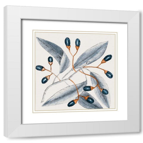Vintage Blue Botanical I White Modern Wood Framed Art Print with Double Matting by Haase, Andrea