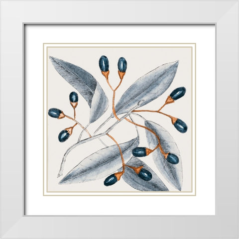 Vintage Blue Botanical I White Modern Wood Framed Art Print with Double Matting by Haase, Andrea