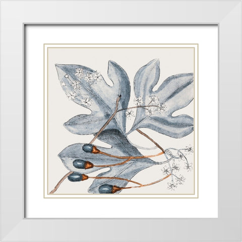 Vintage Blue Botanical II White Modern Wood Framed Art Print with Double Matting by Haase, Andrea