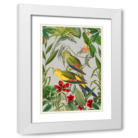 Parakeets Tropical Garden  II White Modern Wood Framed Art Print with Double Matting by Haase, Andrea