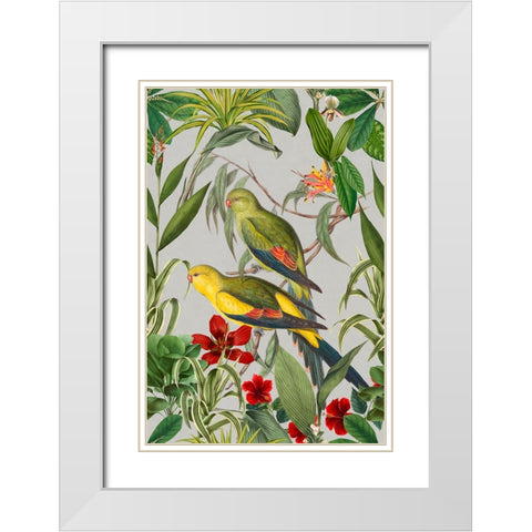 Parakeets Tropical Garden  II White Modern Wood Framed Art Print with Double Matting by Haase, Andrea