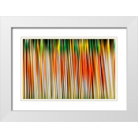 Undulate I White Modern Wood Framed Art Print with Double Matting by Nall, Skip