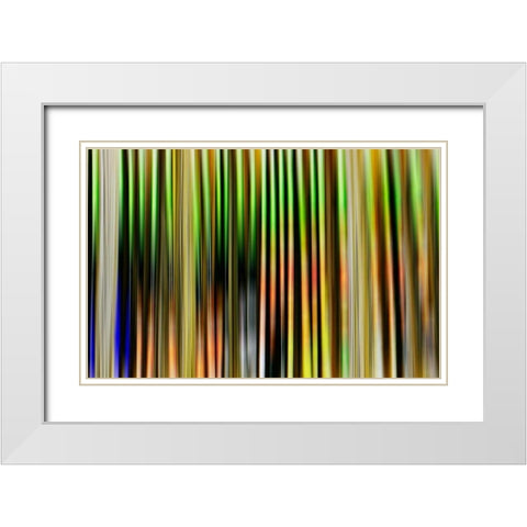 Undulate II White Modern Wood Framed Art Print with Double Matting by Nall, Skip