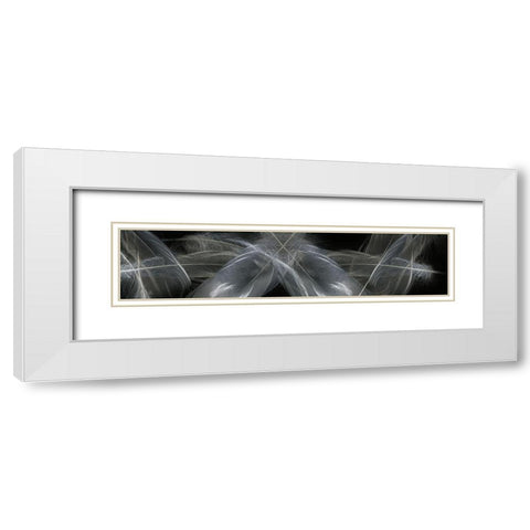 Feathers White Modern Wood Framed Art Print with Double Matting by Stelfox, Norm