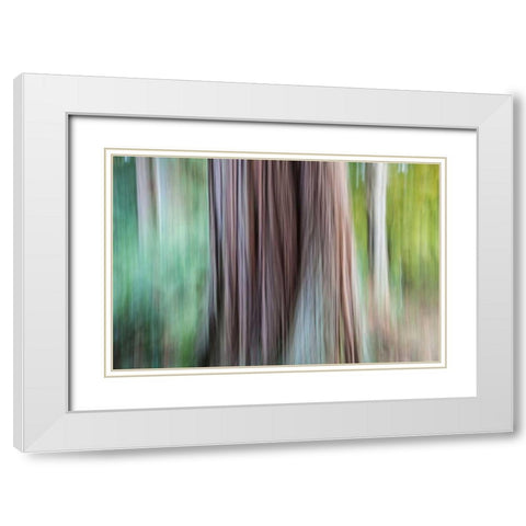 So Keen I White Modern Wood Framed Art Print with Double Matting by Stelfox, Norm
