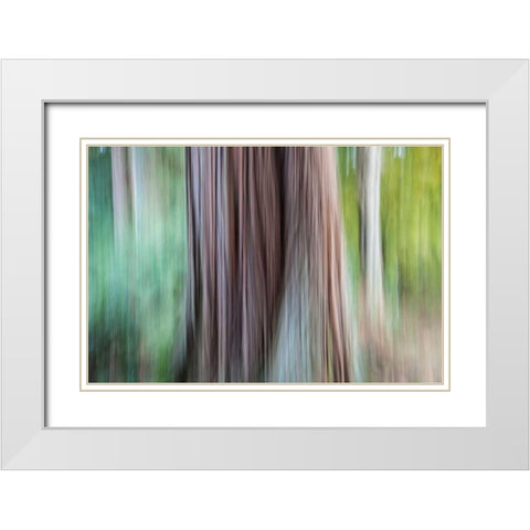 So Keen I White Modern Wood Framed Art Print with Double Matting by Stelfox, Norm