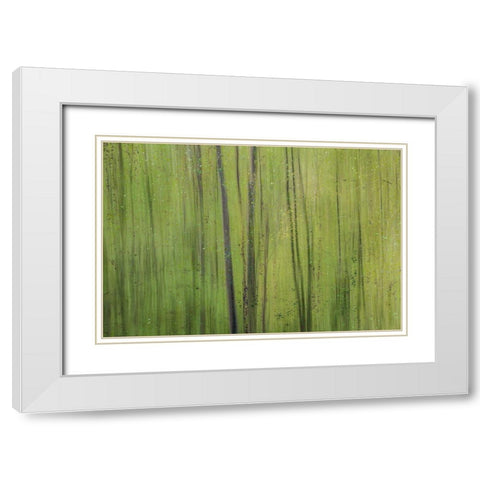 Green I White Modern Wood Framed Art Print with Double Matting by Stelfox, Norm