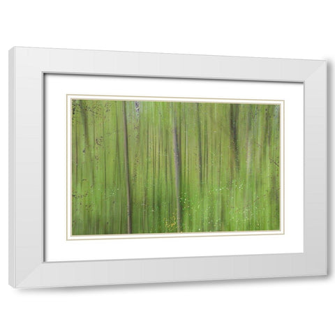 Green II White Modern Wood Framed Art Print with Double Matting by Stelfox, Norm