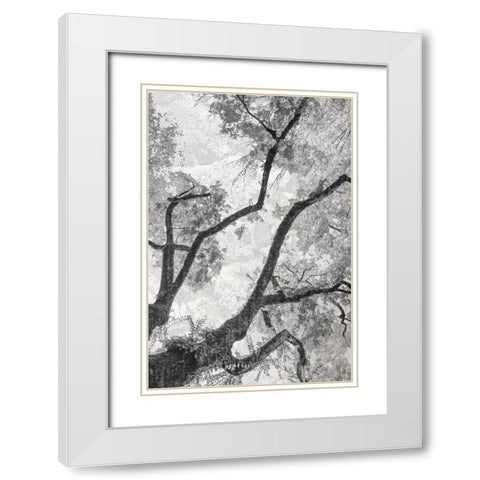 Gloomy Branches White Modern Wood Framed Art Print with Double Matting by Stelfox, Norm