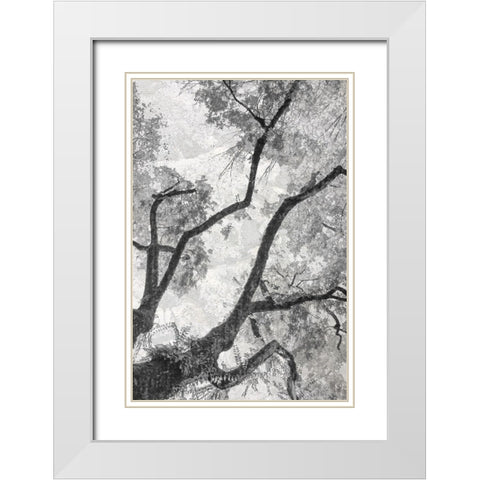 Gloomy Branches White Modern Wood Framed Art Print with Double Matting by Stelfox, Norm