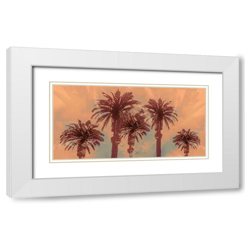 Palm Springs White Modern Wood Framed Art Print with Double Matting by Stelfox, Norm