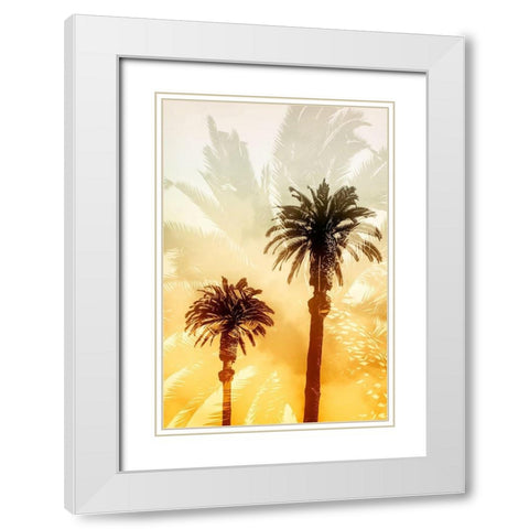 Palm Dreams  White Modern Wood Framed Art Print with Double Matting by Stelfox, Norm