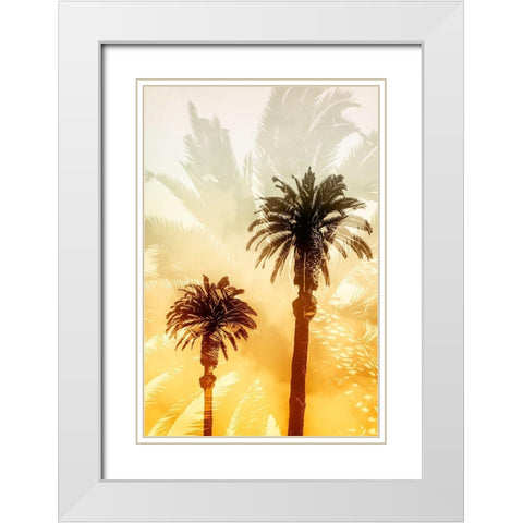Palm Dreams  White Modern Wood Framed Art Print with Double Matting by Stelfox, Norm