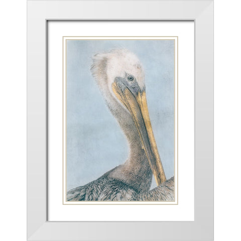 Long Beak Bird I White Modern Wood Framed Art Print with Double Matting by Stelfox, Norm