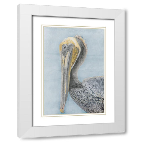 Long Beak Bird II White Modern Wood Framed Art Print with Double Matting by Stelfox, Norm