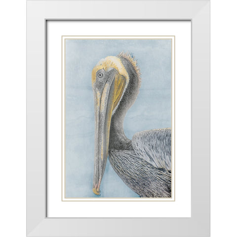 Long Beak Bird II White Modern Wood Framed Art Print with Double Matting by Stelfox, Norm