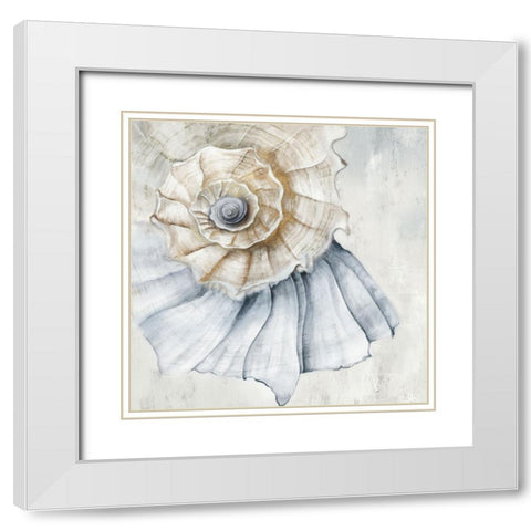 Large Blue Shell White Modern Wood Framed Art Print with Double Matting by Jones, Eli