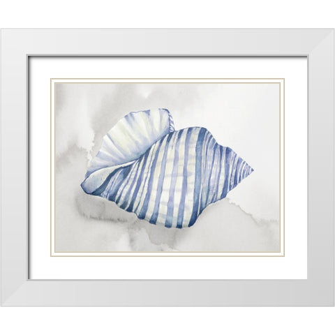Soft Blue Shell I White Modern Wood Framed Art Print with Double Matting by Jones, Eli