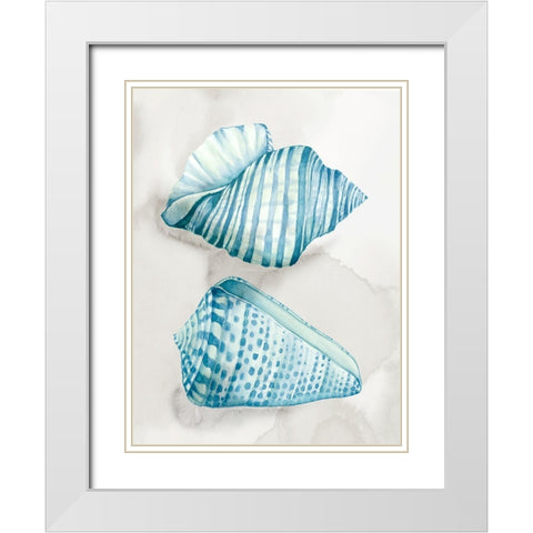 Two Soft Blue Shells White Modern Wood Framed Art Print with Double Matting by Jones, Eli