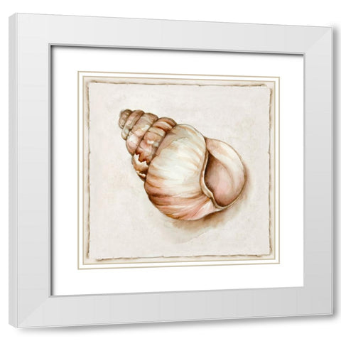 Pink Vintage Shell I White Modern Wood Framed Art Print with Double Matting by Jones, Eli