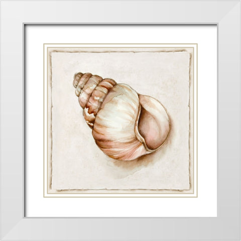 Pink Vintage Shell I White Modern Wood Framed Art Print with Double Matting by Jones, Eli