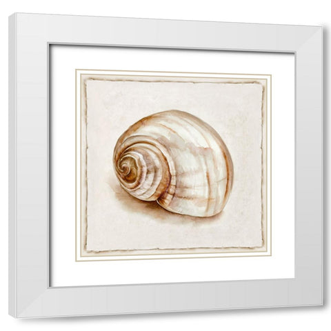 Pink Vintage Shell II White Modern Wood Framed Art Print with Double Matting by Jones, Eli