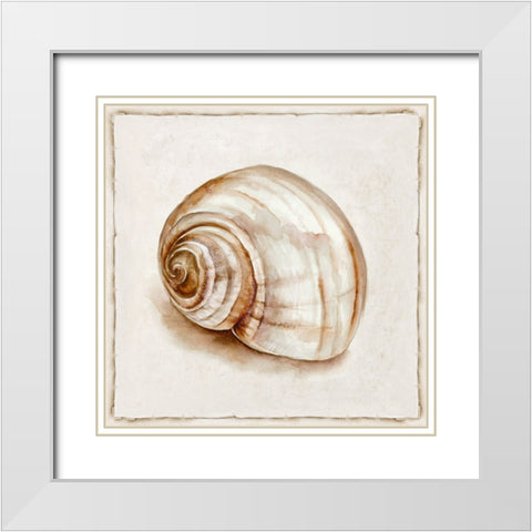 Pink Vintage Shell II White Modern Wood Framed Art Print with Double Matting by Jones, Eli