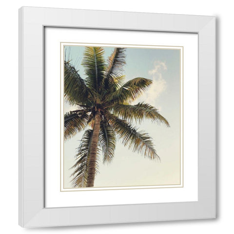 Coconut Palm  White Modern Wood Framed Art Print with Double Matting by Joy, Olivia