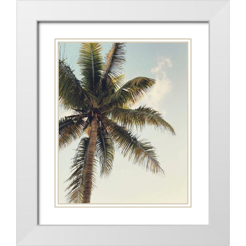 Coconut Palm  White Modern Wood Framed Art Print with Double Matting by Joy, Olivia