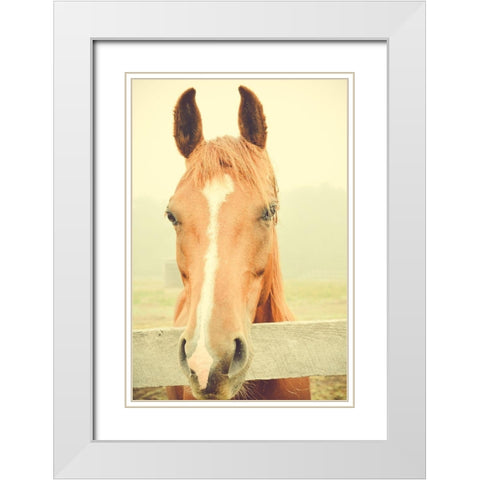 Willow Way Ranch White Modern Wood Framed Art Print with Double Matting by Joy, Olivia