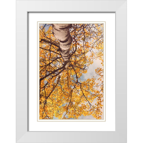 Fall Coloured Leaves  White Modern Wood Framed Art Print with Double Matting by Joy, Olivia