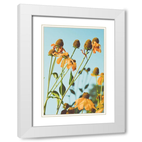 Reaching Sunlight  White Modern Wood Framed Art Print with Double Matting by Joy, Olivia