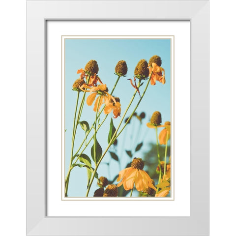 Reaching Sunlight  White Modern Wood Framed Art Print with Double Matting by Joy, Olivia