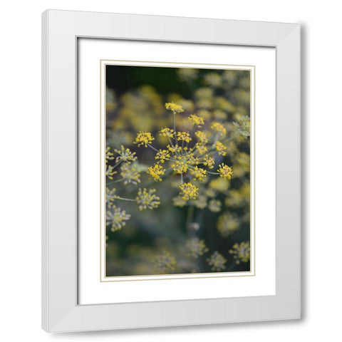 Little Yellow White Modern Wood Framed Art Print with Double Matting by Joy, Olivia