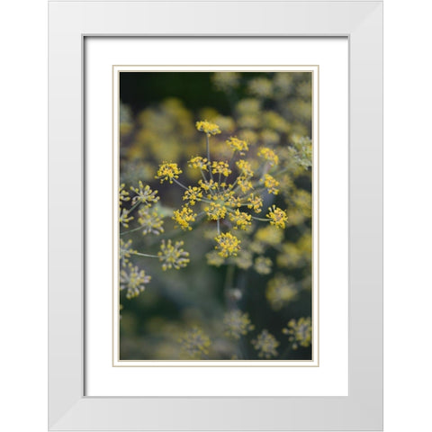 Little Yellow White Modern Wood Framed Art Print with Double Matting by Joy, Olivia