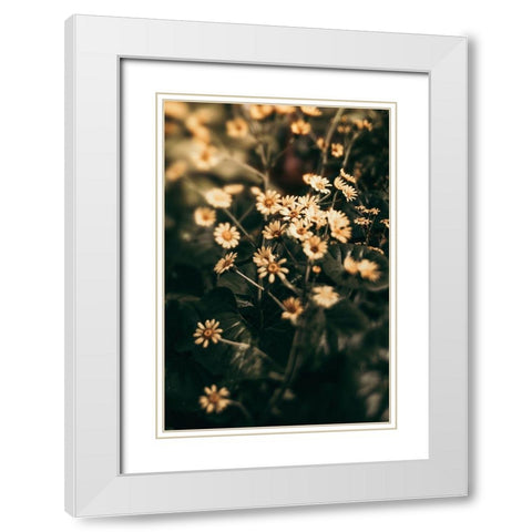 Little Garden White Modern Wood Framed Art Print with Double Matting by Joy, Olivia