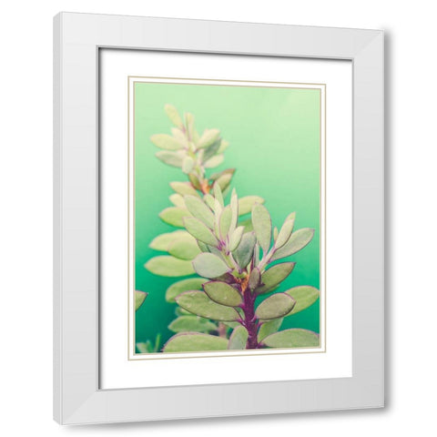 Green Blossom  White Modern Wood Framed Art Print with Double Matting by Joy, Olivia
