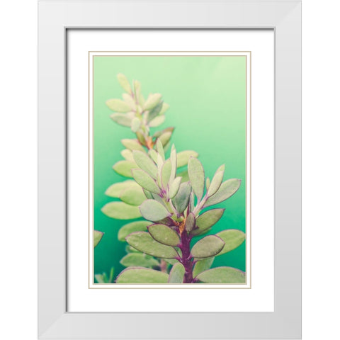Green Blossom  White Modern Wood Framed Art Print with Double Matting by Joy, Olivia