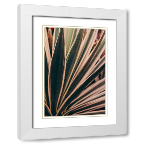 Beaming Through White Modern Wood Framed Art Print with Double Matting by Joy, Olivia