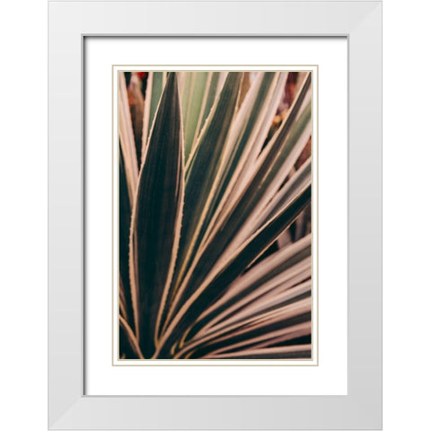 Beaming Through White Modern Wood Framed Art Print with Double Matting by Joy, Olivia