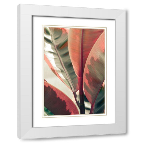 Peachy White Modern Wood Framed Art Print with Double Matting by Joy, Olivia