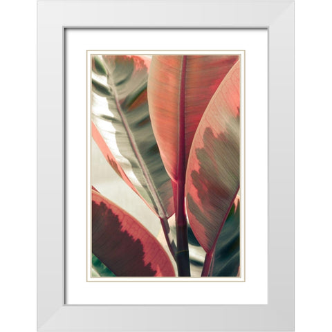 Peachy White Modern Wood Framed Art Print with Double Matting by Joy, Olivia