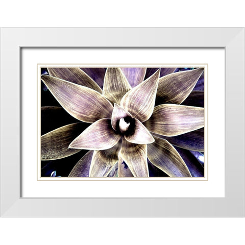 Magic Giant White Modern Wood Framed Art Print with Double Matting by Orlov, Irena